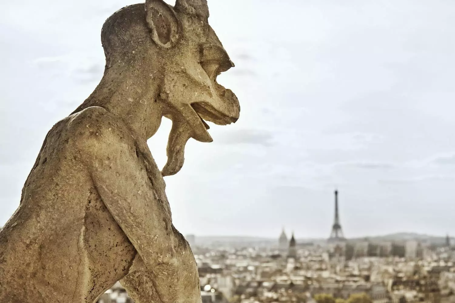 Chimère de pierre de Notre-Dame dominant les toits de Paris, tour Eiffel au loin