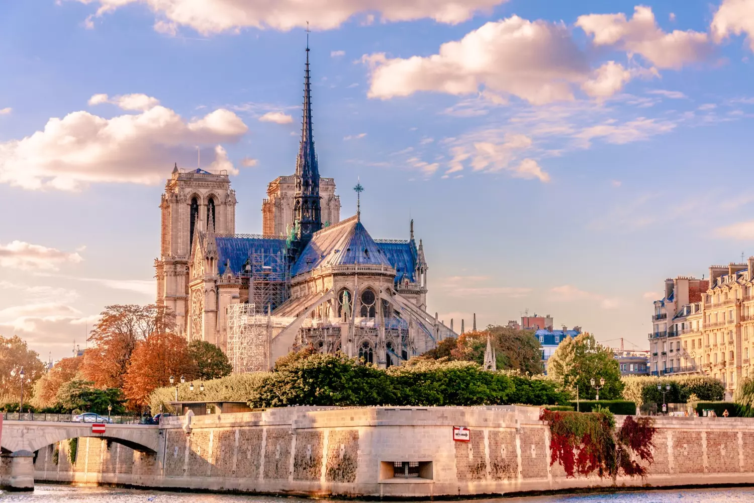Notre-Dame de Paris and its spire seen from the Seine, framed by autumn trees