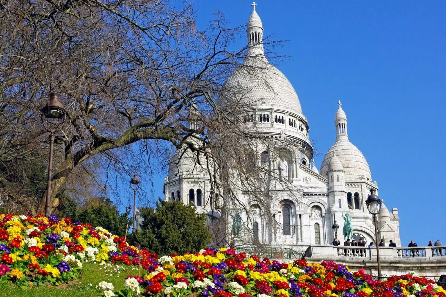 The Sacré-Cœur basilica in Montmartre behind a bed of colorful flowers