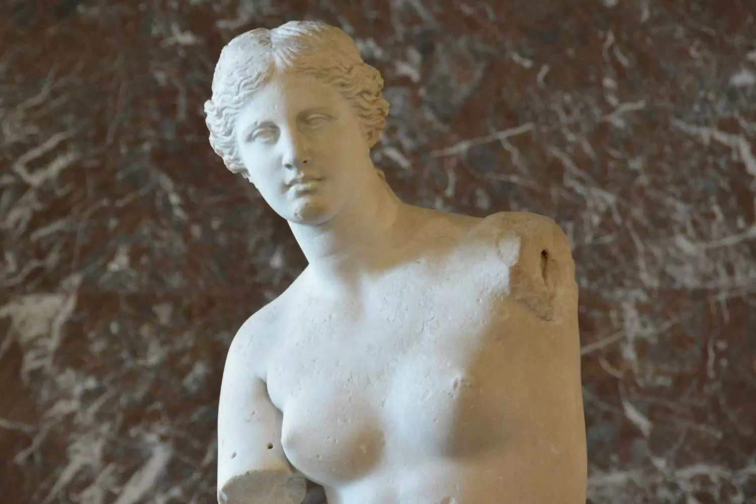 Buste de la Vénus de Milo, statue grecque en marbre du musée du Louvre